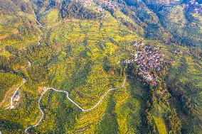 Winding Country Road in Congjiang