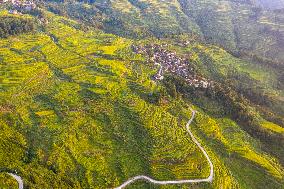 Winding Country Road in Congjiang