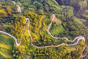 Winding Country Road in Congjiang