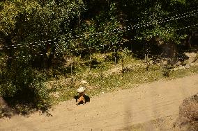 Daily Life In Kashmir