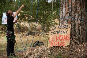 Arborist-climber Thomas Brail On Hunger Strike Against The Planned Highway A69