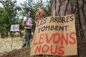 Arborist-climber Thomas Brail On Hunger Strike Against The Planned Highway A69