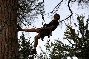 Arborist-climber Thomas Brail On Hunger Strike Against The Planned Highway A69