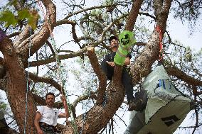 Arborist-climber Thomas Brail On Hunger Strike Against The Planned Highway A69