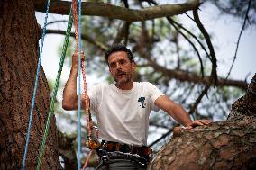 Arborist-climber Thomas Brail On Hunger Strike Against The Planned Highway A69