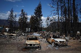 Bush Creek East Wildfire Aftermath - British Columbia