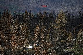 Bush Creek East Wildfire Aftermath - British Columbia