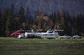 Bush Creek East Wildfire Aftermath - British Columbia