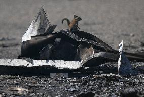 Bush Creek East Wildfire Aftermath - British Columbia