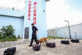Handlers Train Police Dogs in Zhoushan