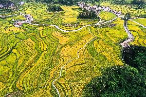 CHINA-GUIZHOU-GUIDING-TERRACED FIELDS (CN)