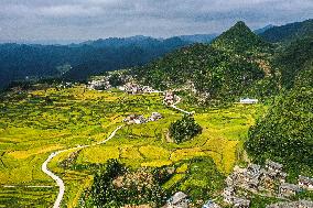 CHINA-GUIZHOU-GUIDING-TERRACED FIELDS (CN)