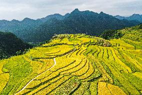 CHINA-GUIZHOU-GUIDING-TERRACED FIELDS (CN)