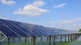 Fish-light Complementary Photovoltaic Power Plant in Hai'an