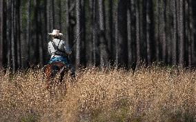 U.S. Civil War Reenactors