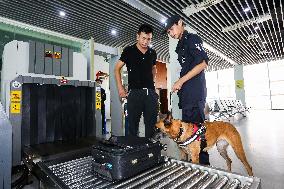 Handlers Train Police Dogs in Zhoushan