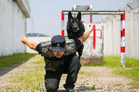 Handlers Train Police Dogs in Zhoushan