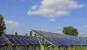 Fish-light Complementary Photovoltaic Power Plant in Hai'an