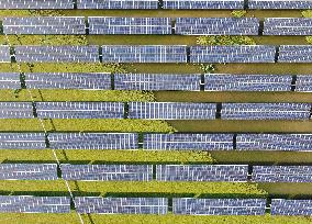 Fish-light Complementary Photovoltaic Power Plant in Hai'an