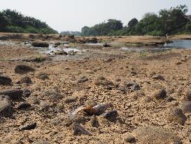 Drought-Induced Low Water Levels In Cisadane River, Tangerang