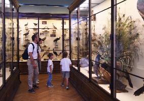 AUSTRIA-VIENNA-NATURAL HISTORY MUSEUM