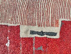 Farmers Dry Chili Peppers in Bazhou