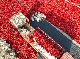 Farmers Dry Chili Peppers in Bazhou
