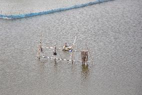 Daily Life In Bangladesh