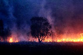 INDONESIA-SOUTH SUMATRA-PEATLAND FIRE