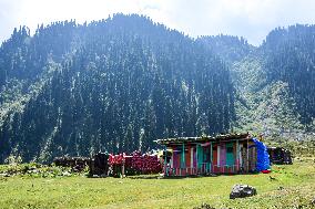 Butapathri: One Of The Last Villages Of Indian Administered Kashmir