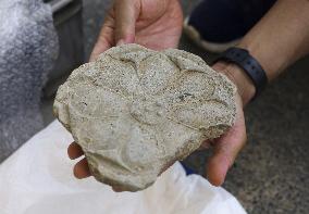 Ancient grave found near World Heritage-listed Japan temple
