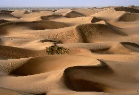 CHINA-XINJIANG-KASHGAR-DESERT-SCENERY (CN)