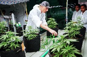 Royal Queen Seeds Opens Its Marijuana Growing Room In Bangkok.