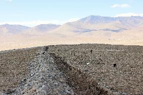 CHINA-XINJIANG-TAXKORGAN-SHEEPHERDER (CN)