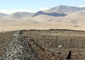 CHINA-XINJIANG-TAXKORGAN-SHEEPHERDER (CN)