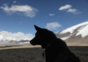 CHINA-XINJIANG-TAXKORGAN-SHEEPHERDER (CN)