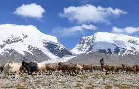 CHINA-XINJIANG-TAXKORGAN-SHEEPHERDER (CN)