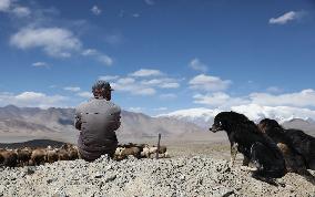 CHINA-XINJIANG-TAXKORGAN-SHEEPHERDER (CN)