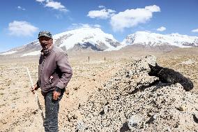 CHINA-XINJIANG-TAXKORGAN-SHEEPHERDER (CN)