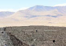 CHINA-XINJIANG-TAXKORGAN-SHEEPHERDER (CN)