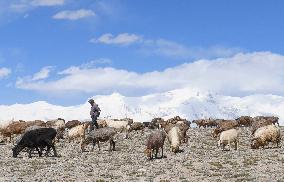 CHINA-XINJIANG-TAXKORGAN-SHEEPHERDER (CN)