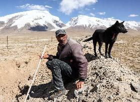 CHINA-XINJIANG-TAXKORGAN-SHEEPHERDER (CN)