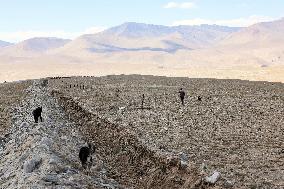 CHINA-XINJIANG-TAXKORGAN-SHEEPHERDER (CN)