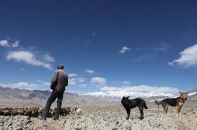 CHINA-XINJIANG-TAXKORGAN-SHEEPHERDER (CN)