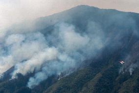 INDONESIA-EAST JAVA-MOUNT BROMO-PEATLAND FIRE