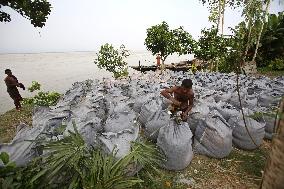 The Erosion By Zumuna River Has Intensified Over - Bangladesh