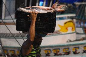 BRAZIL-BELEM-FISH MARKET