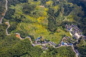 Winding Rural Road