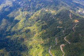 Winding Rural Road