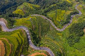 Winding Rural Road